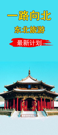 东北最新计划