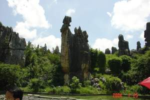 1月去云南旅游注意事项 大理丽江香格里拉,西双版纳9天游