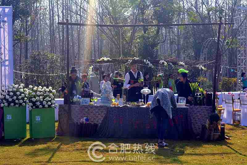 合肥滨湖湿地森林公园可举办浪漫的希腊式户外草坪婚礼 