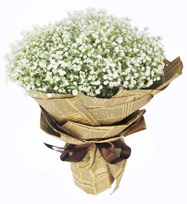 致青春/无声的爱