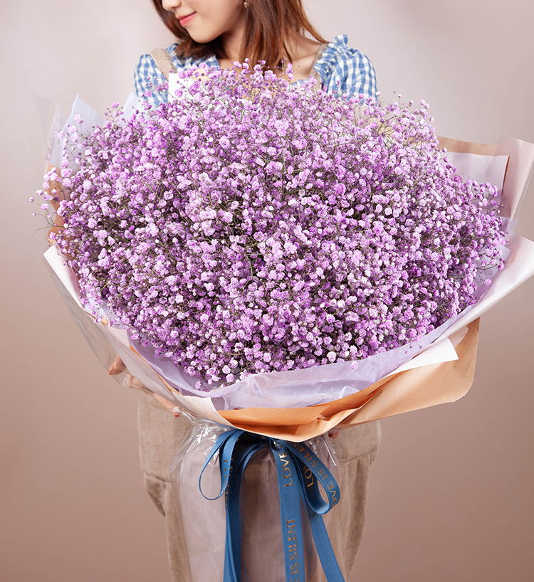 满天星/特大号-浅紫