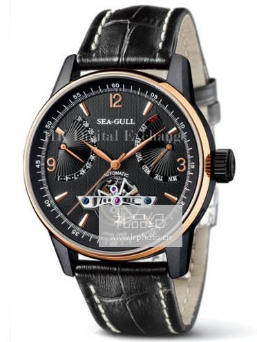 海鸥多功能机械系列219.326黑色表盘