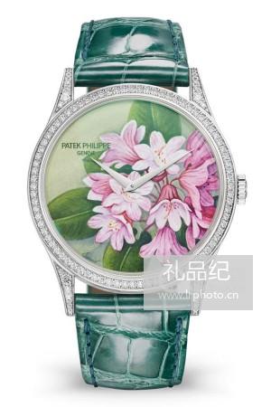 百达翡丽珍稀工艺系列5077/100G-035腕表
