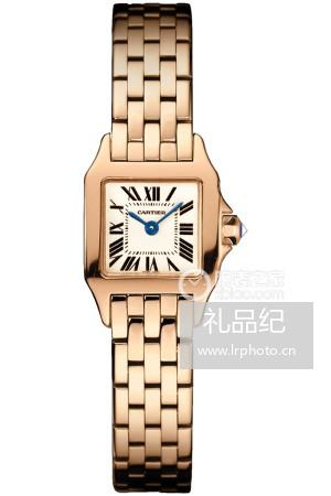 卡地亚山度士系列W25077X9腕表